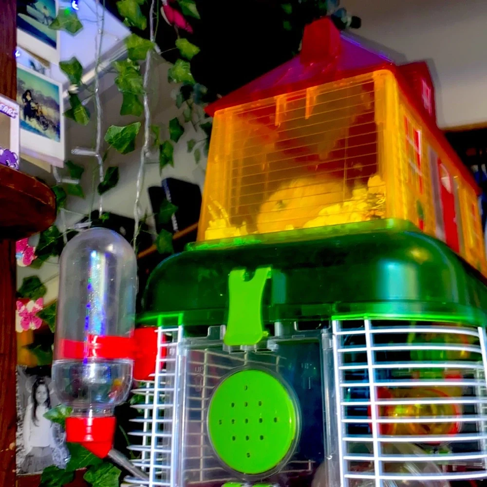 Hamster Cage